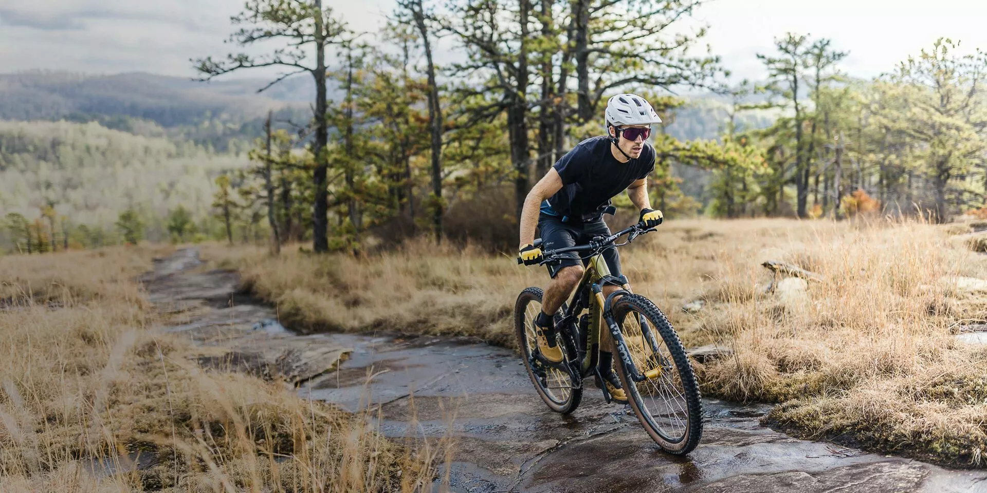 Forside -Damecykler Salg 21