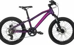 Principia MTB A2.0 - 20" Tourney 1x6sp Blank Lilla M. Pink