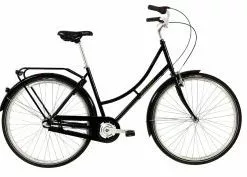 Raleigh Darlington 3 Gear Sort - 56 Cm