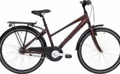 Winther 300 Pige 24"- 7 Gear - Rødbrun